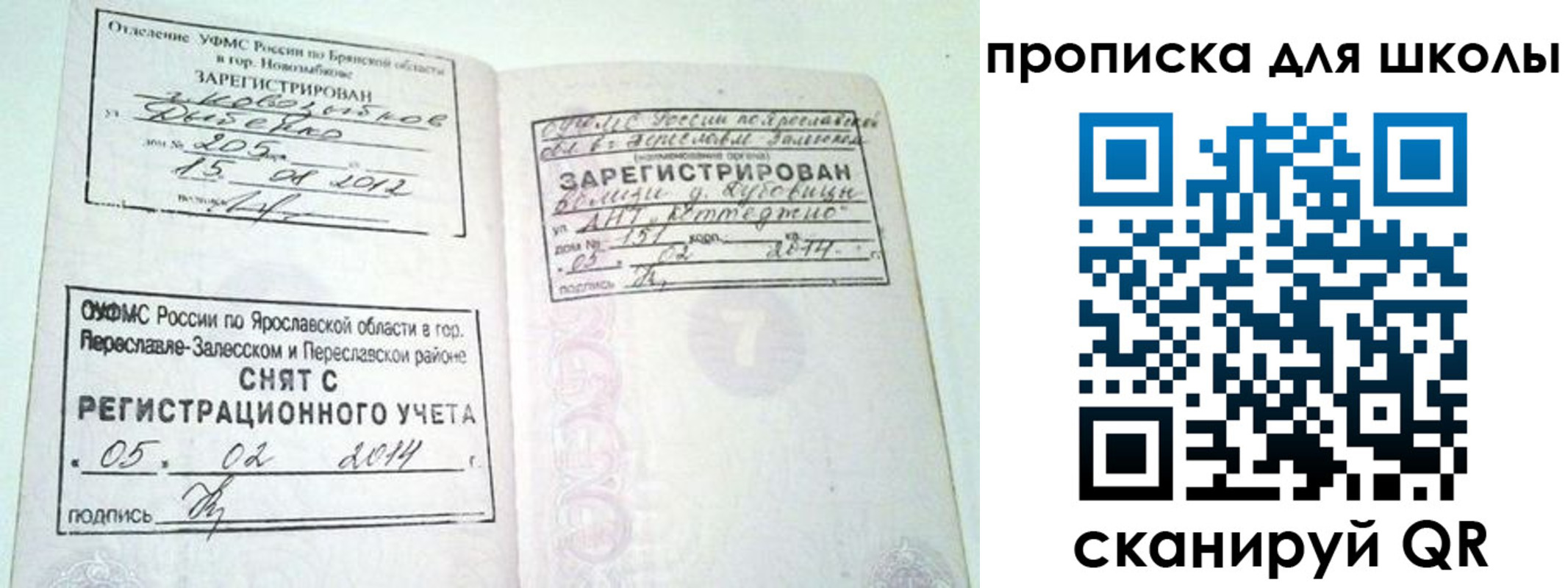 прописка поиск в Оренбурге